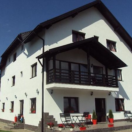 Pensiunea Vasilica Ceterasu Onceşti Esterno foto