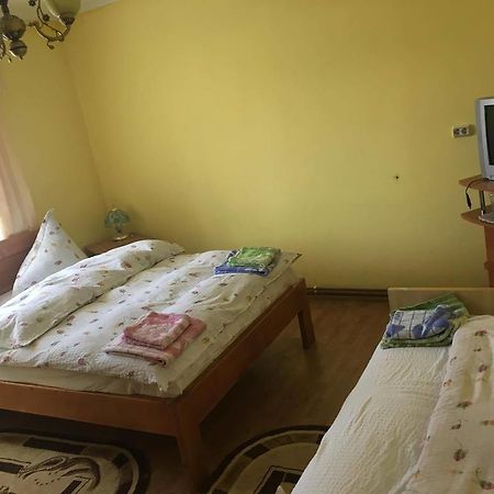 Pensiunea Vasilica Ceterasu Onceşti Esterno foto