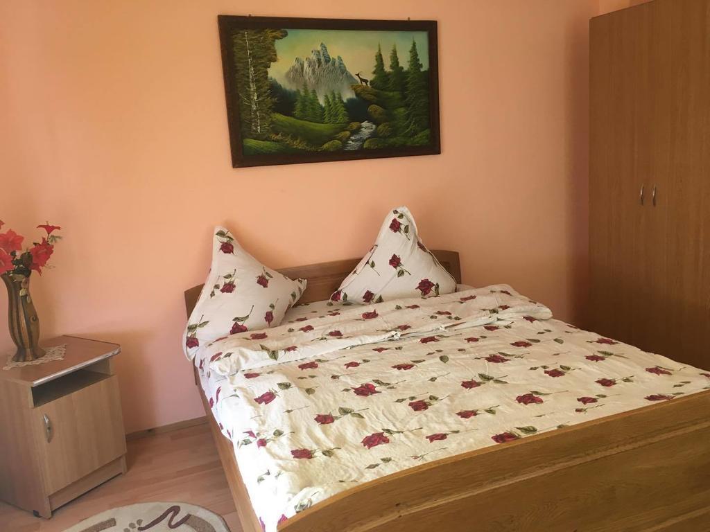 Pensiunea Vasilica Ceterasu Onceşti Esterno foto